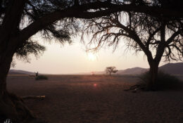 Namibia_August (87/135)